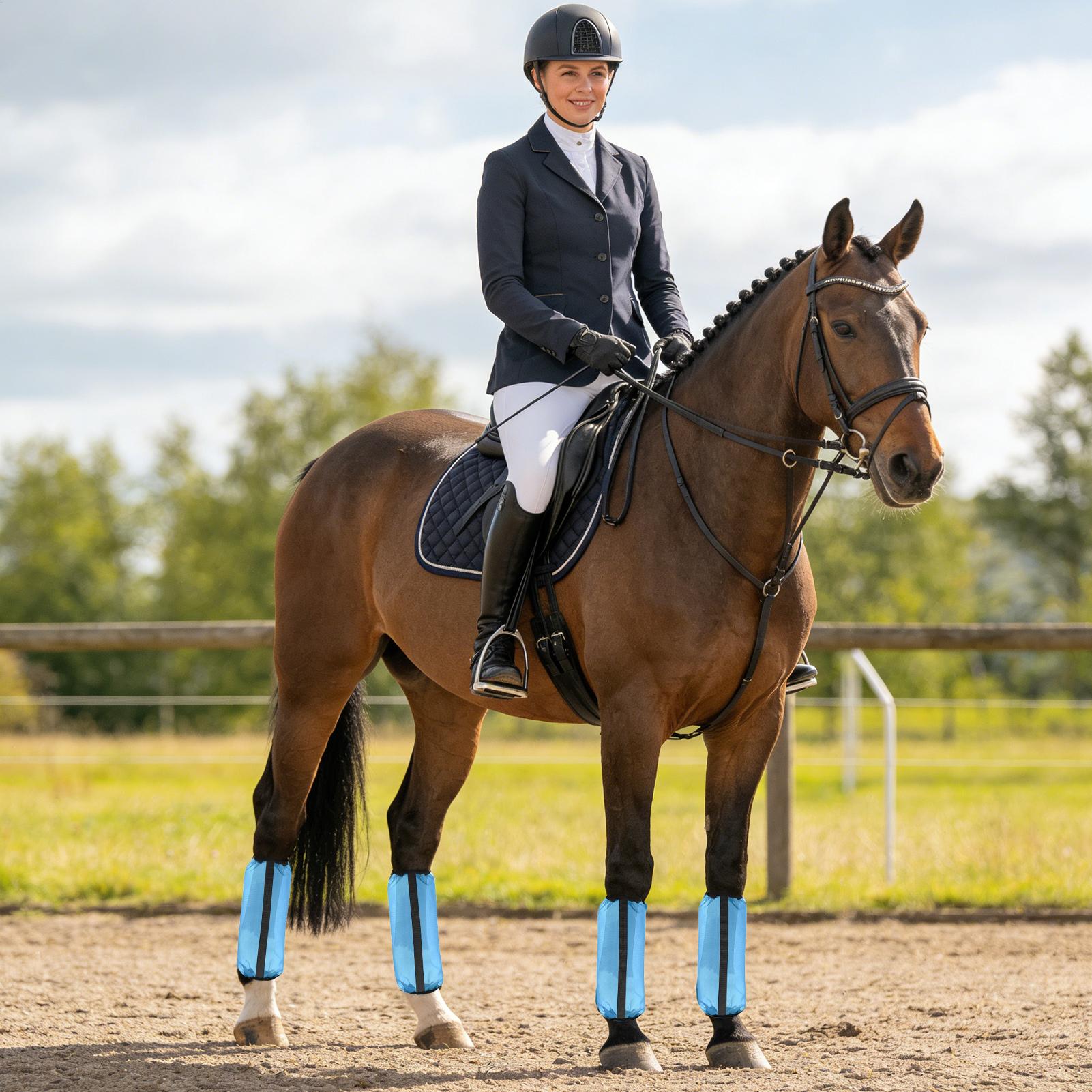 Horse Fly Boots 4 Pieces Mesh  - Brushing Boot Horse review and price