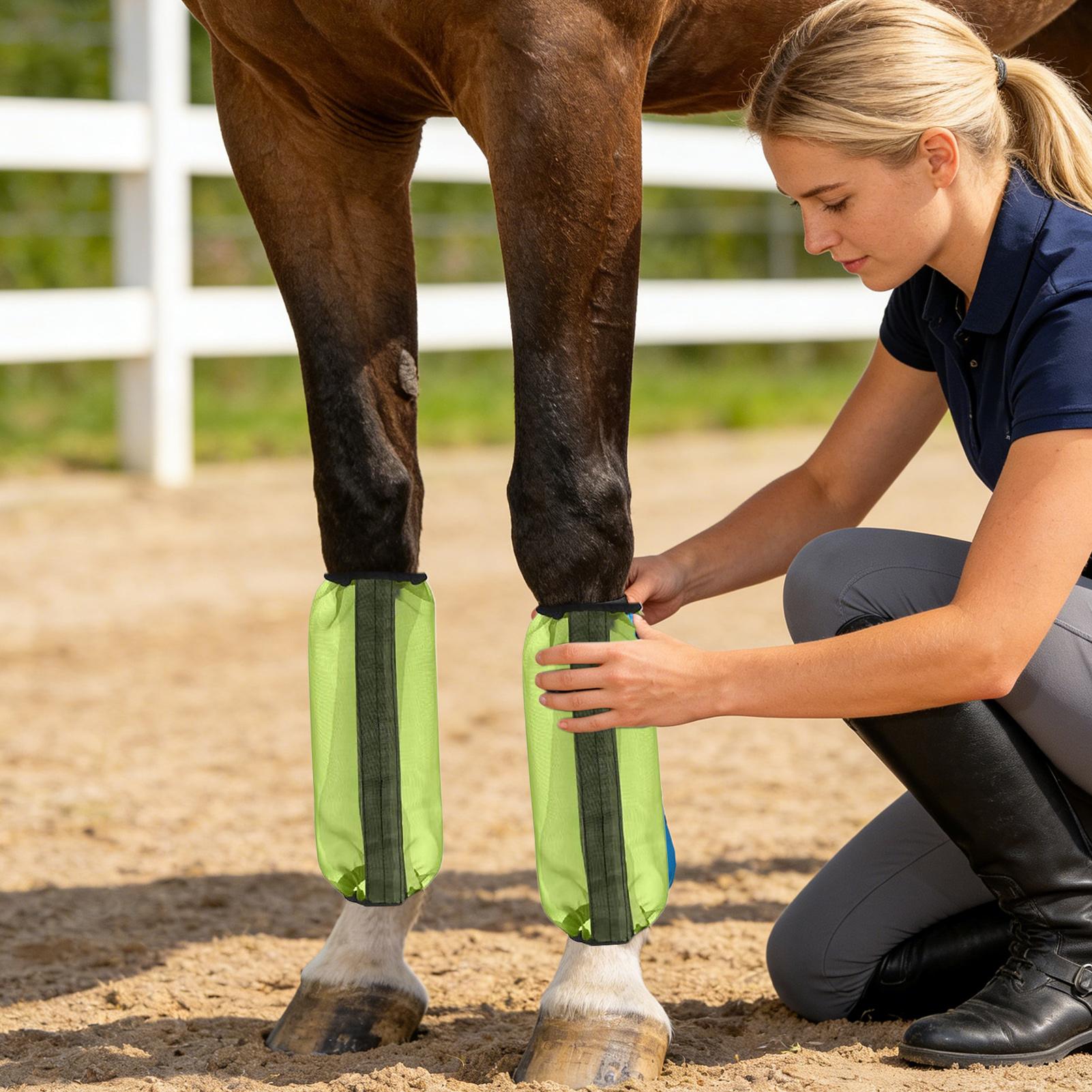 Horse Fly Boots 4 Pieces Mesh  - Brushing Boot Horse review and price